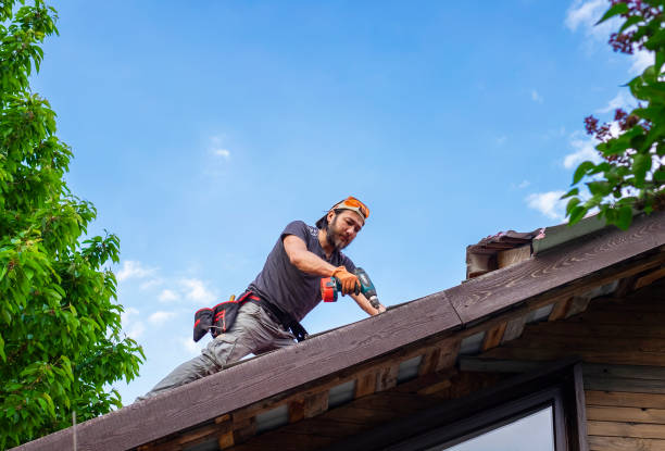 Best Storm Damage Roof Repair  in Cameron, TX